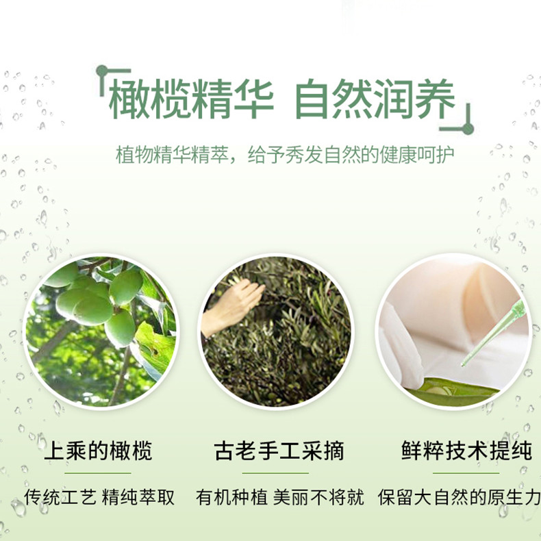 橄欖洗發(fā)水護(hù)發(fā)素套裝OEM代加工