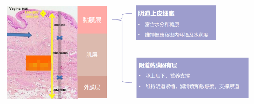 私密衰老的情況