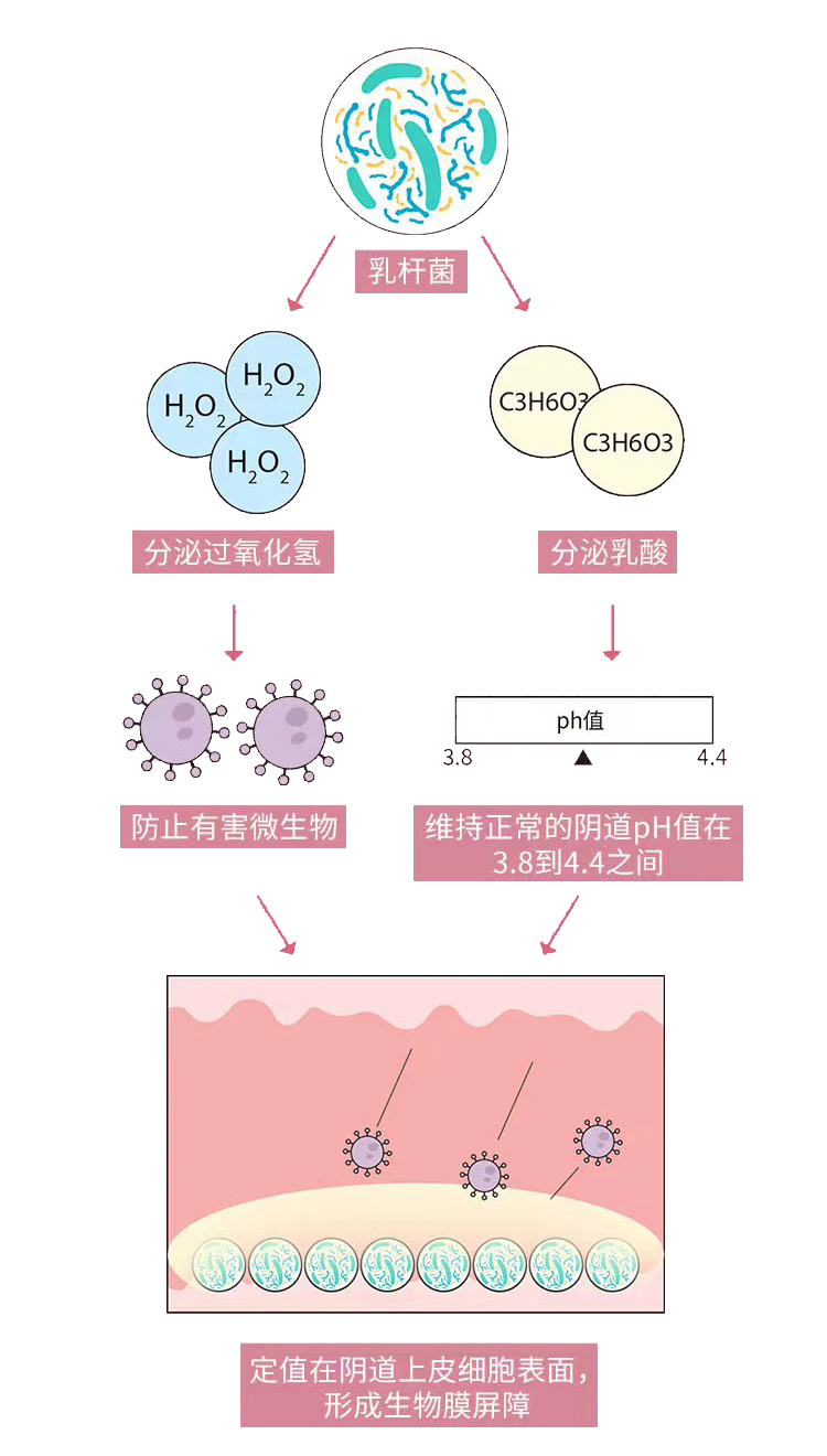 私密衰老的情況